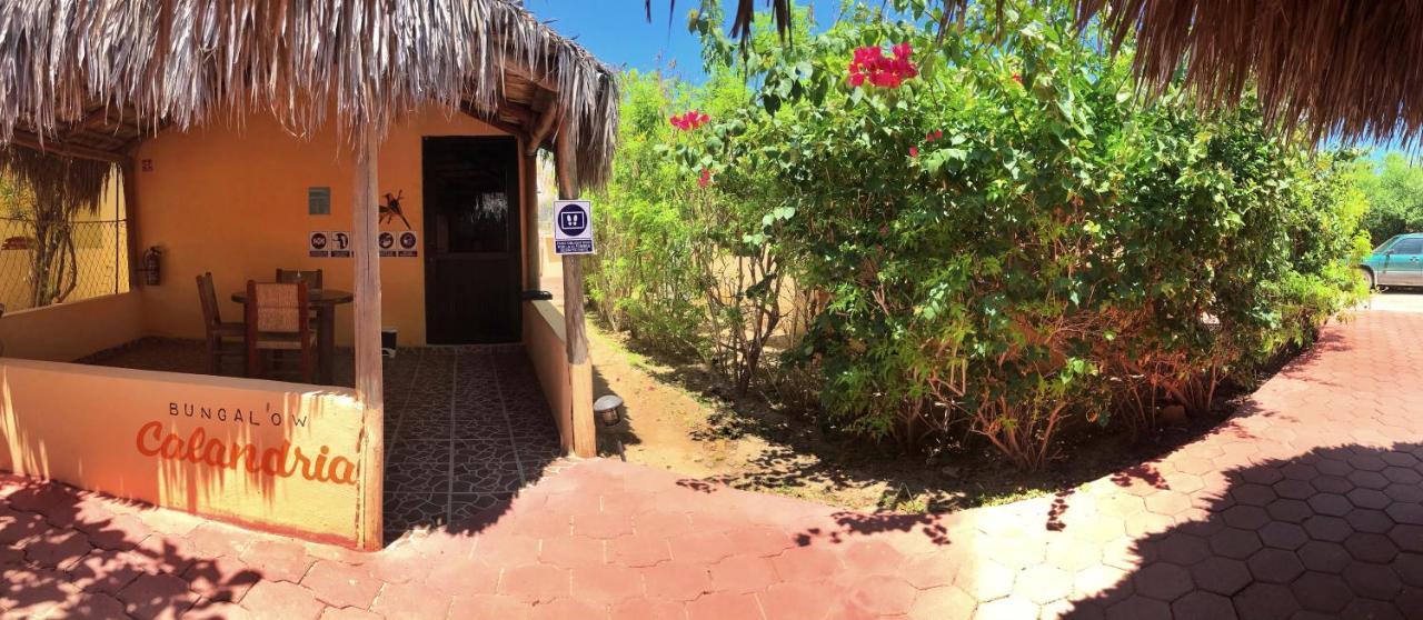Bungalows Cabo Pulmo Εξωτερικό φωτογραφία