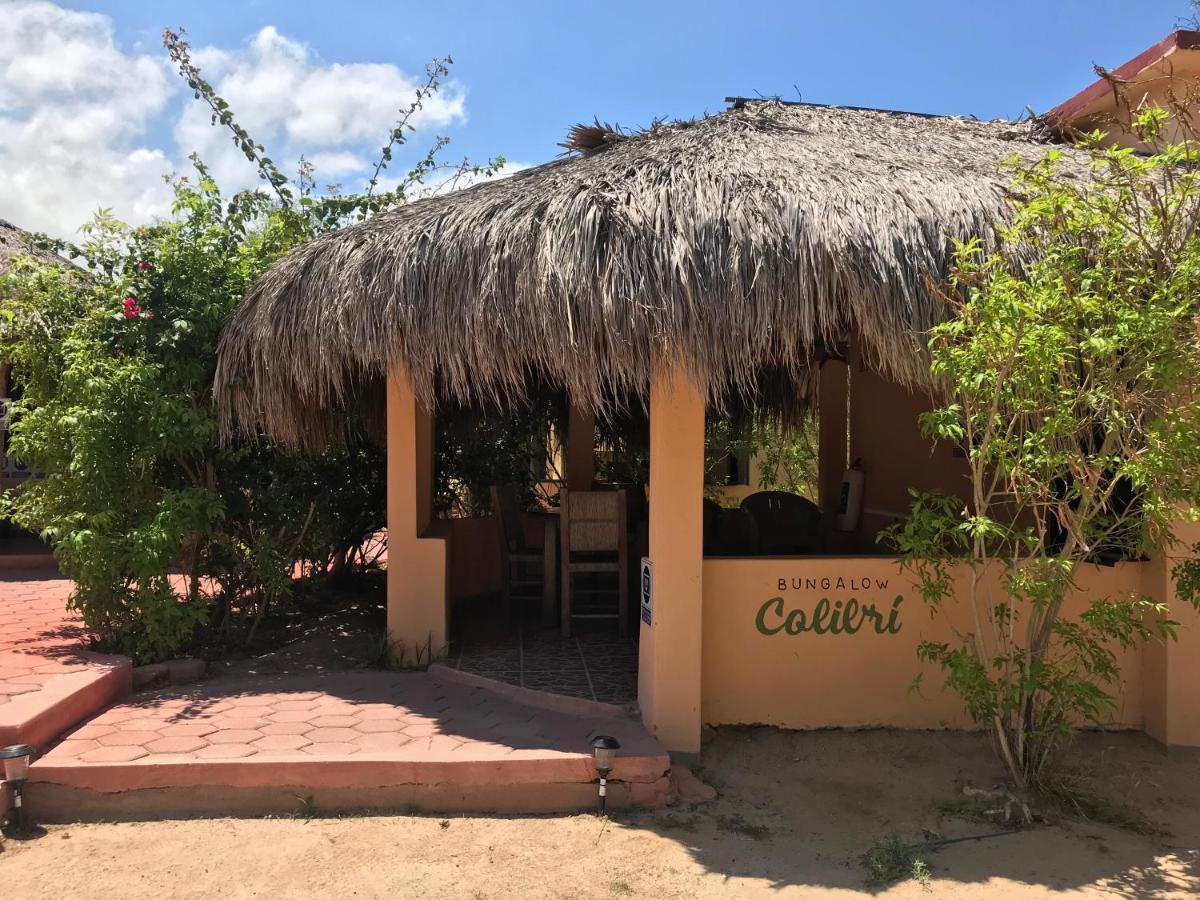 Bungalows Cabo Pulmo Εξωτερικό φωτογραφία