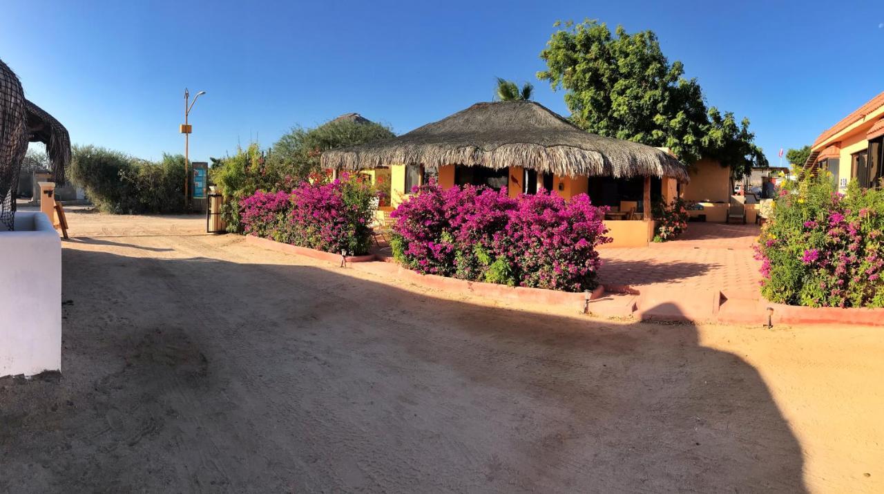 Bungalows Cabo Pulmo Εξωτερικό φωτογραφία