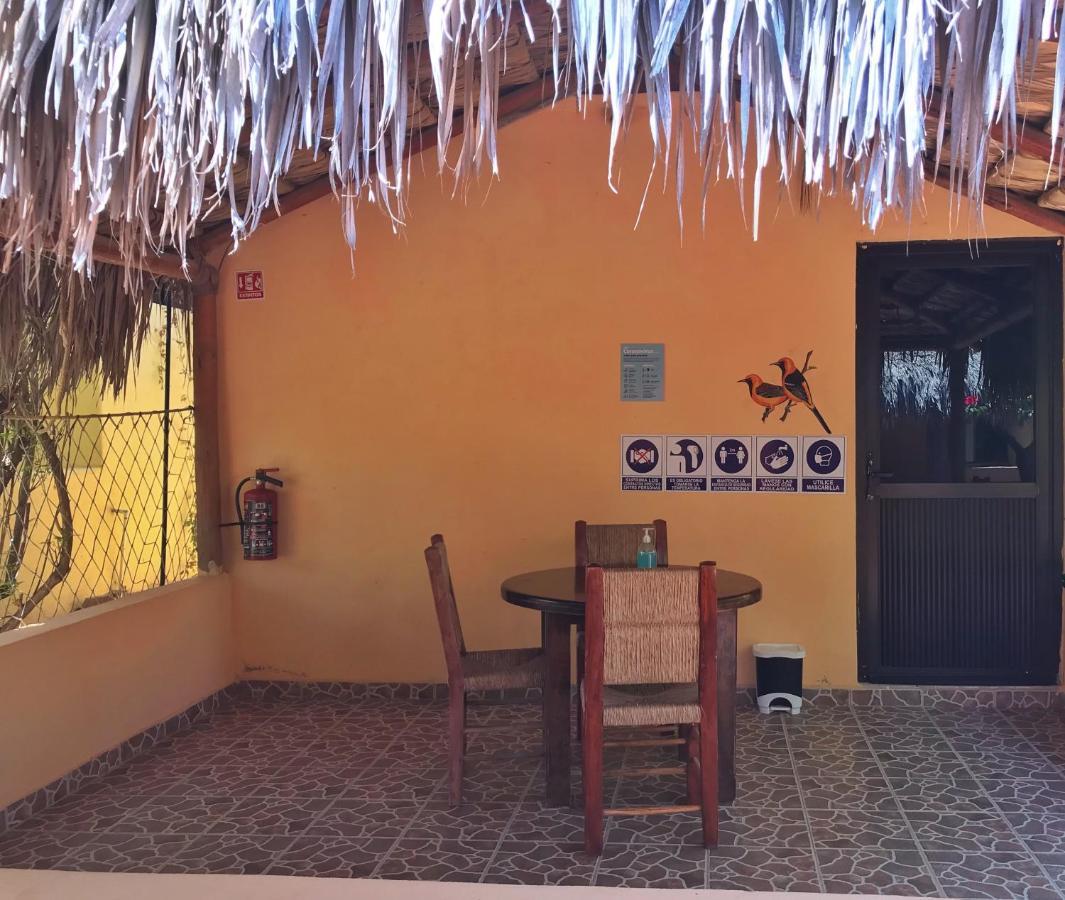 Bungalows Cabo Pulmo Εξωτερικό φωτογραφία