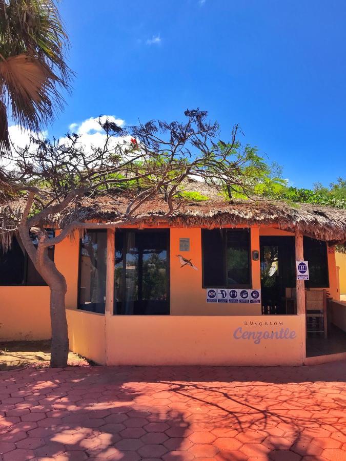 Bungalows Cabo Pulmo Εξωτερικό φωτογραφία