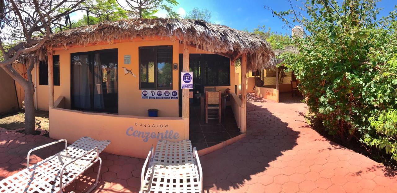 Bungalows Cabo Pulmo Εξωτερικό φωτογραφία