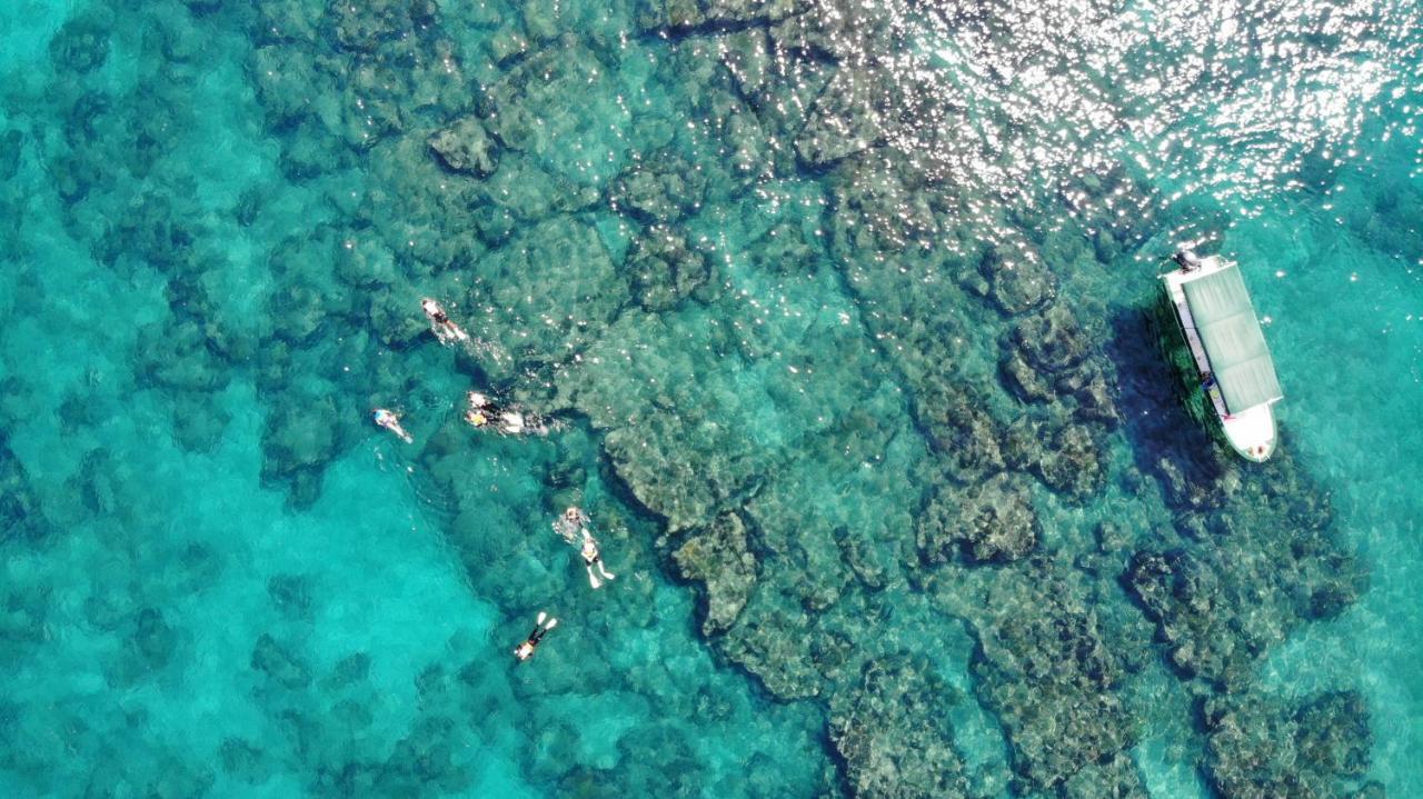 Bungalows Cabo Pulmo Εξωτερικό φωτογραφία